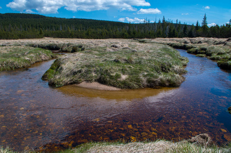 Jizera stream near to settlement Jizerka 