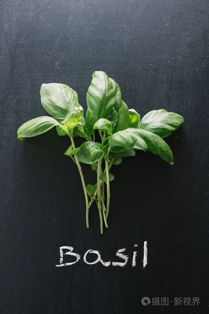 basil 照片-正版商用图片27qkdl-摄图新视界