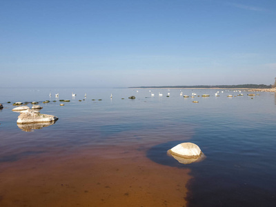 海岸 海滩 海洋 风景 夏天 天鹅 自然 岩石 天空