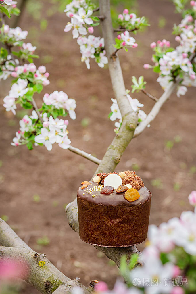 花园里一棵盛开的苹果树的背景上放着节日的复活节蛋糕。