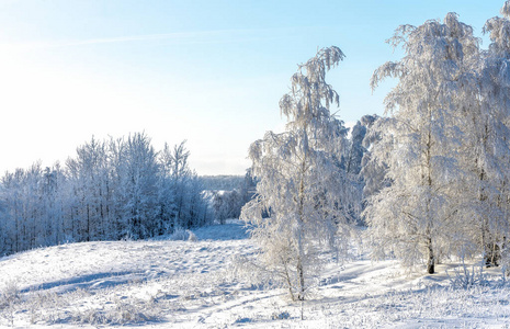 雪地里的冬季公园图片