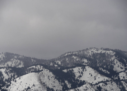 天空 风景 欧洲 木材 暴风雪 森林 美丽的 环境 旅行