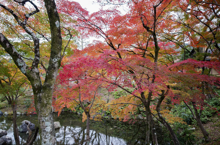 京都高台寺禅院