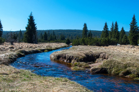 Jizera stream near to settlement Jizerka 