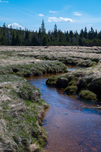 Jizera stream near to settlement Jizerka 