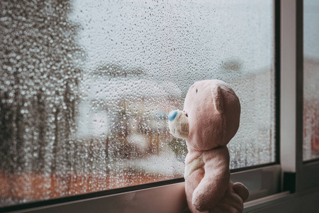 悲伤 秋天 软的 粉红色 窗台 动物 小孩 洋娃娃 毛茸茸的