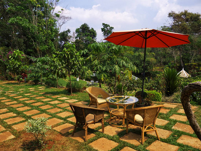 老挝咖啡种植园照片