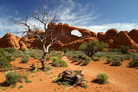 弧线 岩石 天空 砂岩 旅行 国家的 形成 公园 自然 山谷