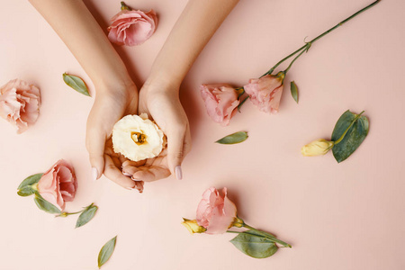 特写美丽精致的女性手照片