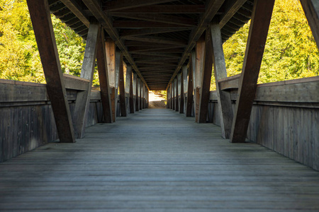 自然中古老的木桥，汇合的线条通向