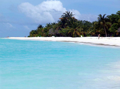 天堂 海滨 太阳 闪耀 马尔代夫 假日 海洋 假期 棕榈树
