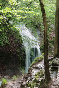 闲暇 春天 比利时 迁移 瀑布 阿登 徒步旅行 漫无目的