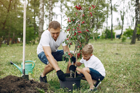 父亲带着小儿子在院子里种树照片
