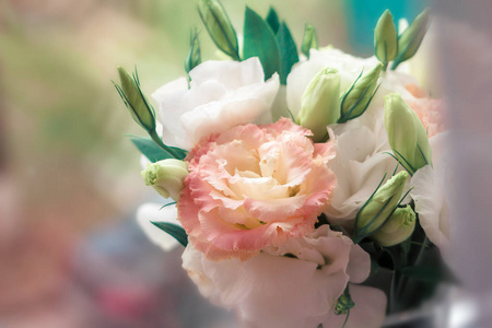 美丽的 美女 花的 礼物 特写镜头 浪漫的 庆祝 植物 开花