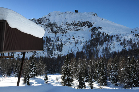 电缆 自然 假日 森林 白云石 冻结 寒冷的 阿尔卑斯山