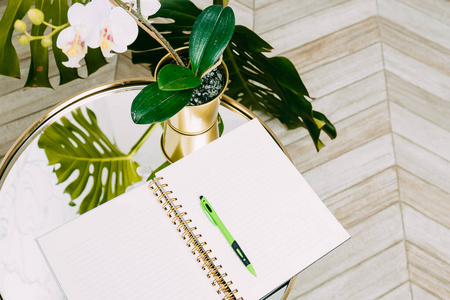 空的纸,旁边放一支笔.自组织概念照片