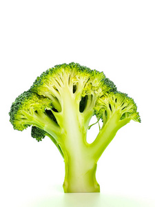 白底绿色营养西兰花横截面图摄影图