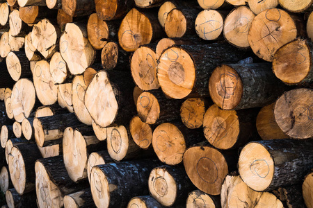 行业 原木 桤木 树皮 森林 自然 松木 木柴 材料 末端