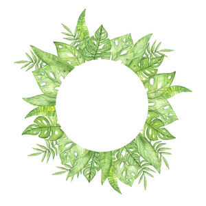 白色背景上绿色热带树叶的圆形水彩插图