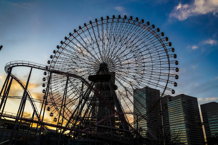 神奈川 日落 轮廓 摩天大楼 风景 港口 傍晚 植物 天空