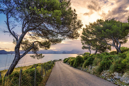 美丽迷人的道路景观图片