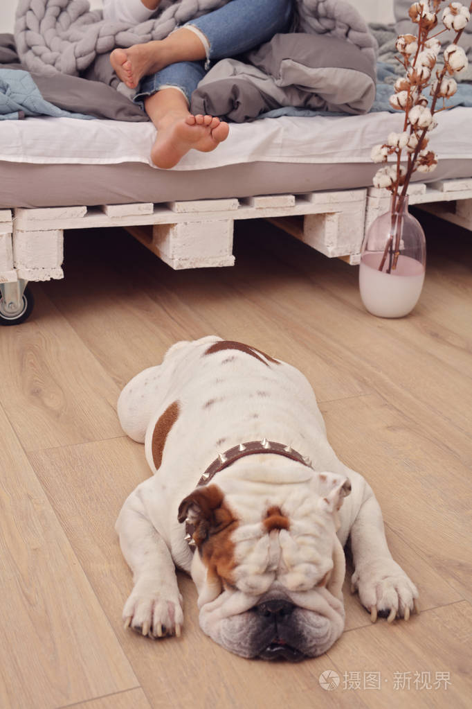 完全放松舒适的女人在家享受周末懒狗睡在地板上
