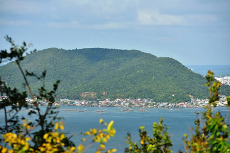 自然 海景 美女 城市 天空 棕榈树 旅行者 假日 海岸