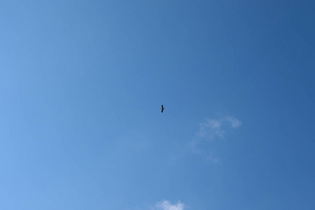 天窗 天气 天空 自然 夏天 墙纸 高的 积云 毛茸茸的