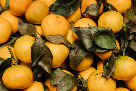 橘子 食物 水果 维生素 柑橘 自然 素食主义者 树叶 特写镜头