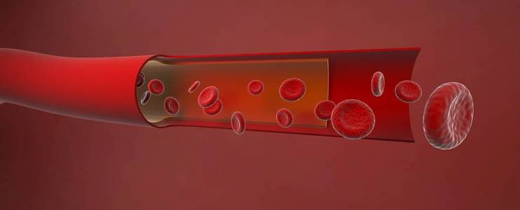 动脉内有红血球，血管切片，三维重建