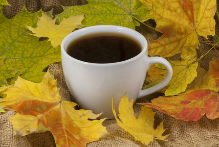 秋季作文。一杯咖啡，干叶背景。秋季优雅概念。闭合