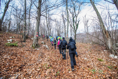 Hiking Group Of People Walking In Nature 