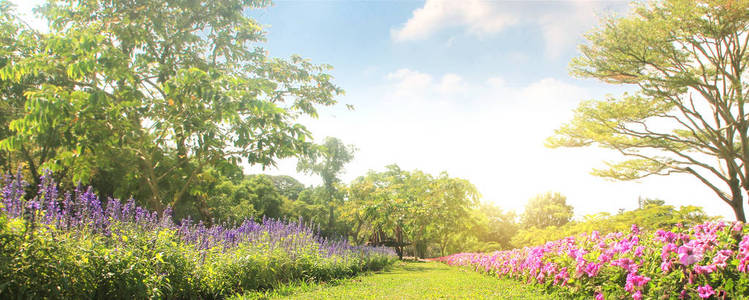 Pretty manicured flower garden with colorful 