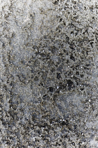 粗糙的海边岩石结构，表面散落着微小的贝壳