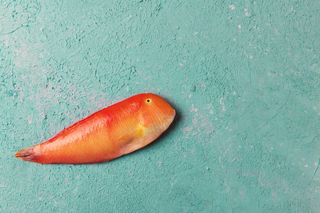 美丽的热带红海鱼珍珠般的剃须鱼在绿松石色或蒂芙尼色背景上。诺瓦库拉Xyrichtys novacula。鱼类成分