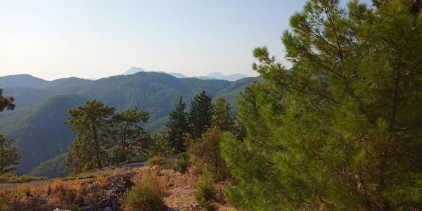 夏天 自然 秋天 风景 山谷 小山 森林 天空 旅行 美丽的