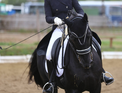 未知的领域图片