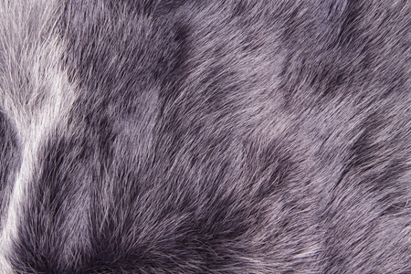 北极狐毛皮。用作纹理或背景