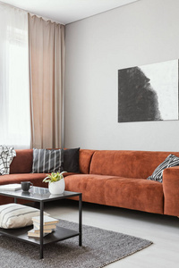 带舒适沙发和黑白画的时尚客厅室内立面图