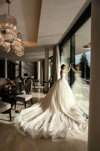 美丽的新娘，深色头发，穿着优雅的婚纱摆姿势
