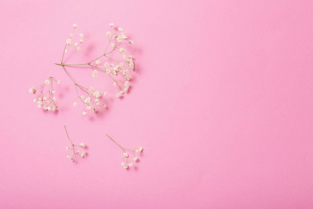 满天星粉红色图片