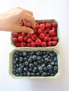 蓝莓，蓝莓和蓝莓的包装，从包装盒中取出。