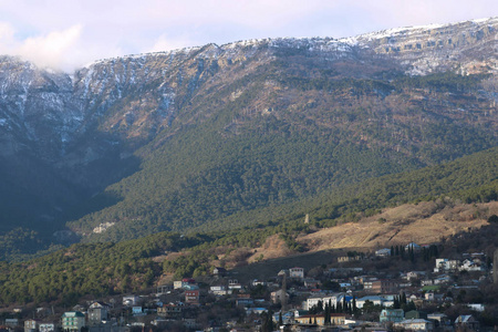 农场 风景 领域 全景图 岩石 意大利 小山 阿尔卑斯山