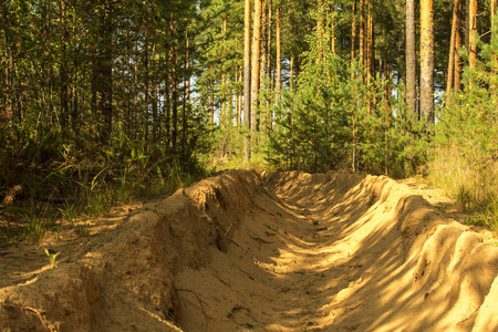 森林防火宣传图片