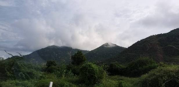 远景 夏天 全景图 美丽的 旅行 森林 岩石 自然 风景