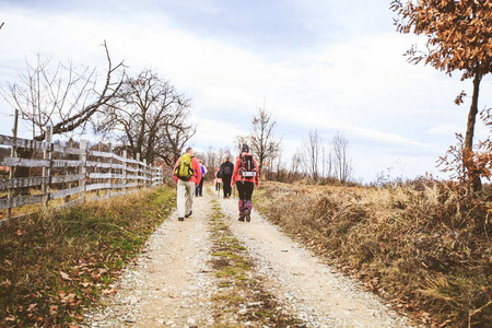 Hiking Group Of People Walking In Nature 