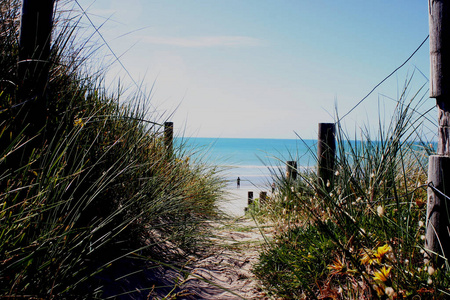 海滩 假期 放松 澳大利亚 海滨 假日 自由