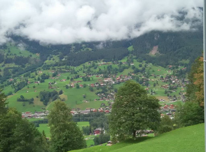 森林 欧洲 风景 村庄 全景 自然 全景图 小山 夏天 旅游业