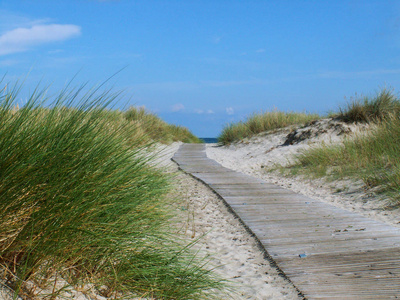 海洋 沙丘 沐浴 海滩 夏天 海滨 假日 假期 木板路 木材