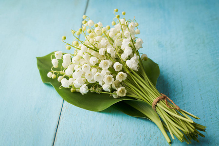 一束百合花图片